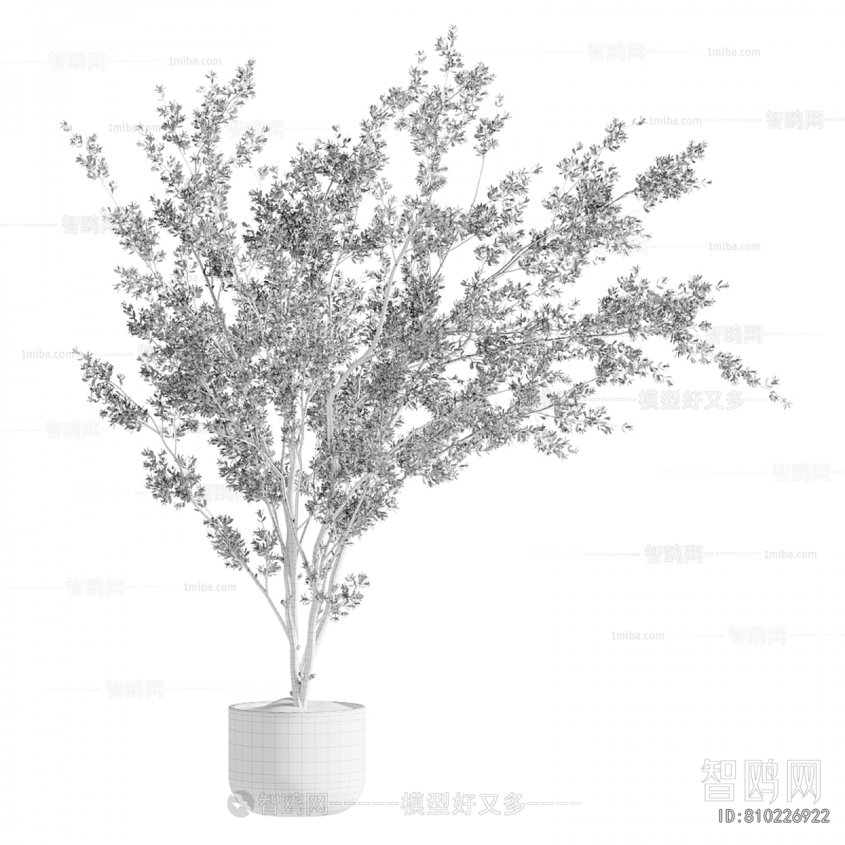 Modern Ground Green Plant Potted Plants