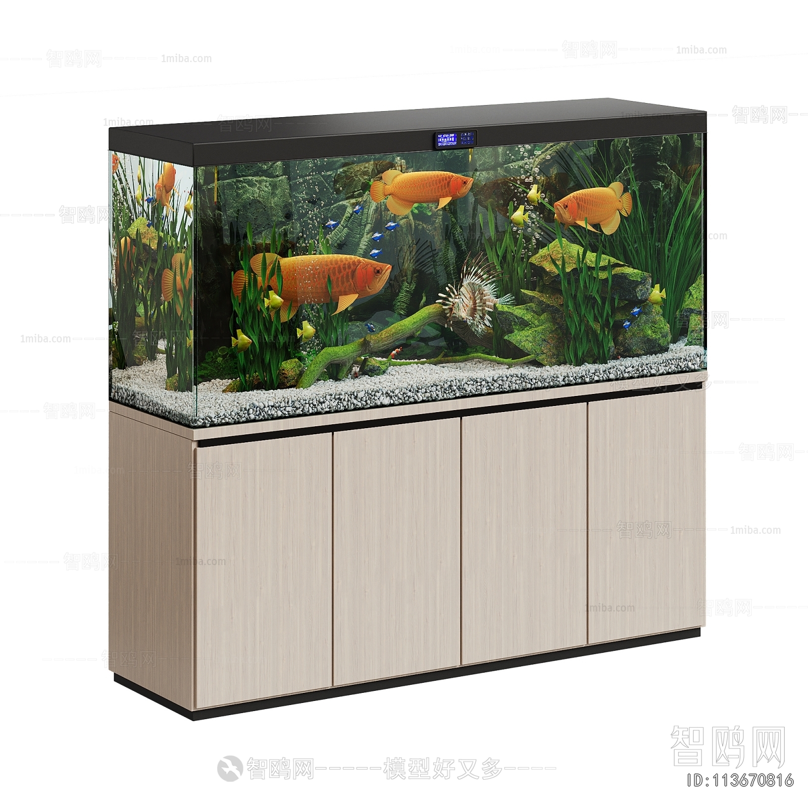Modern Fish Tank