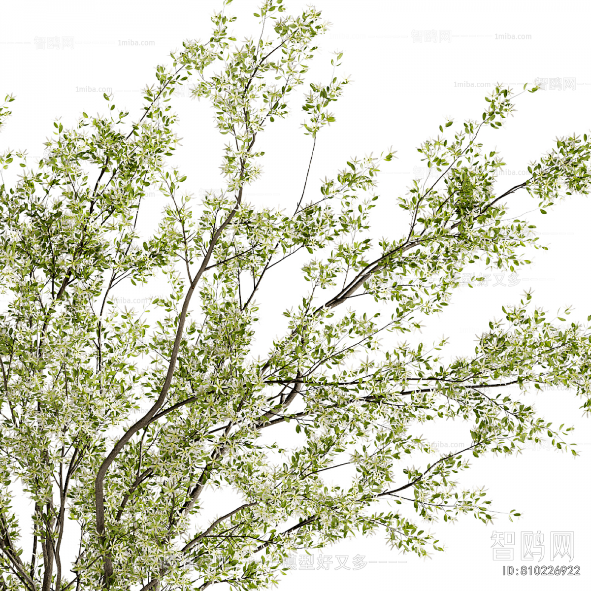 Modern Ground Green Plant Potted Plants