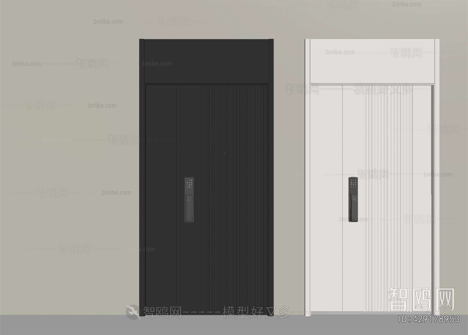 Modern Entrance Door