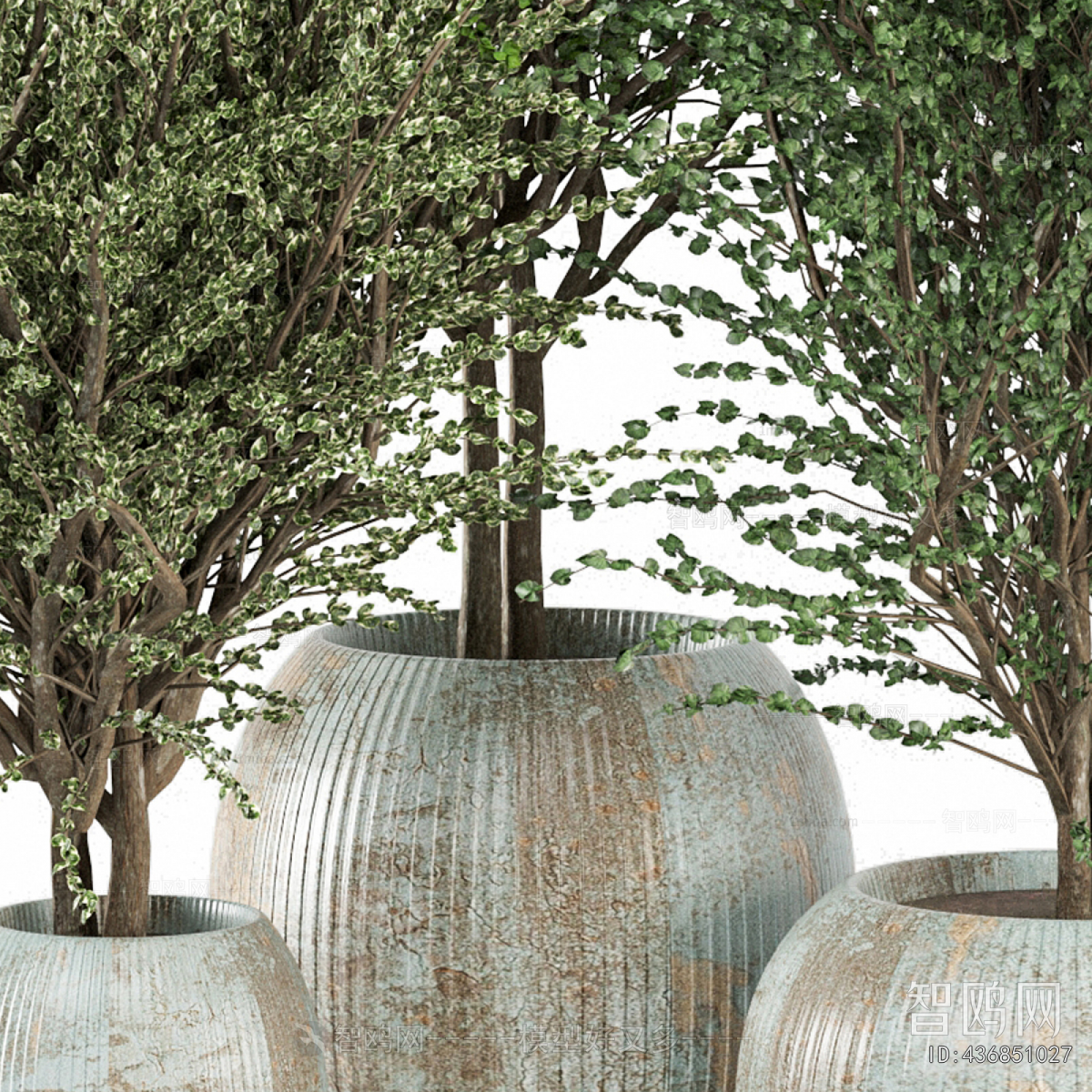 Modern Ground Green Plant Potted Plants