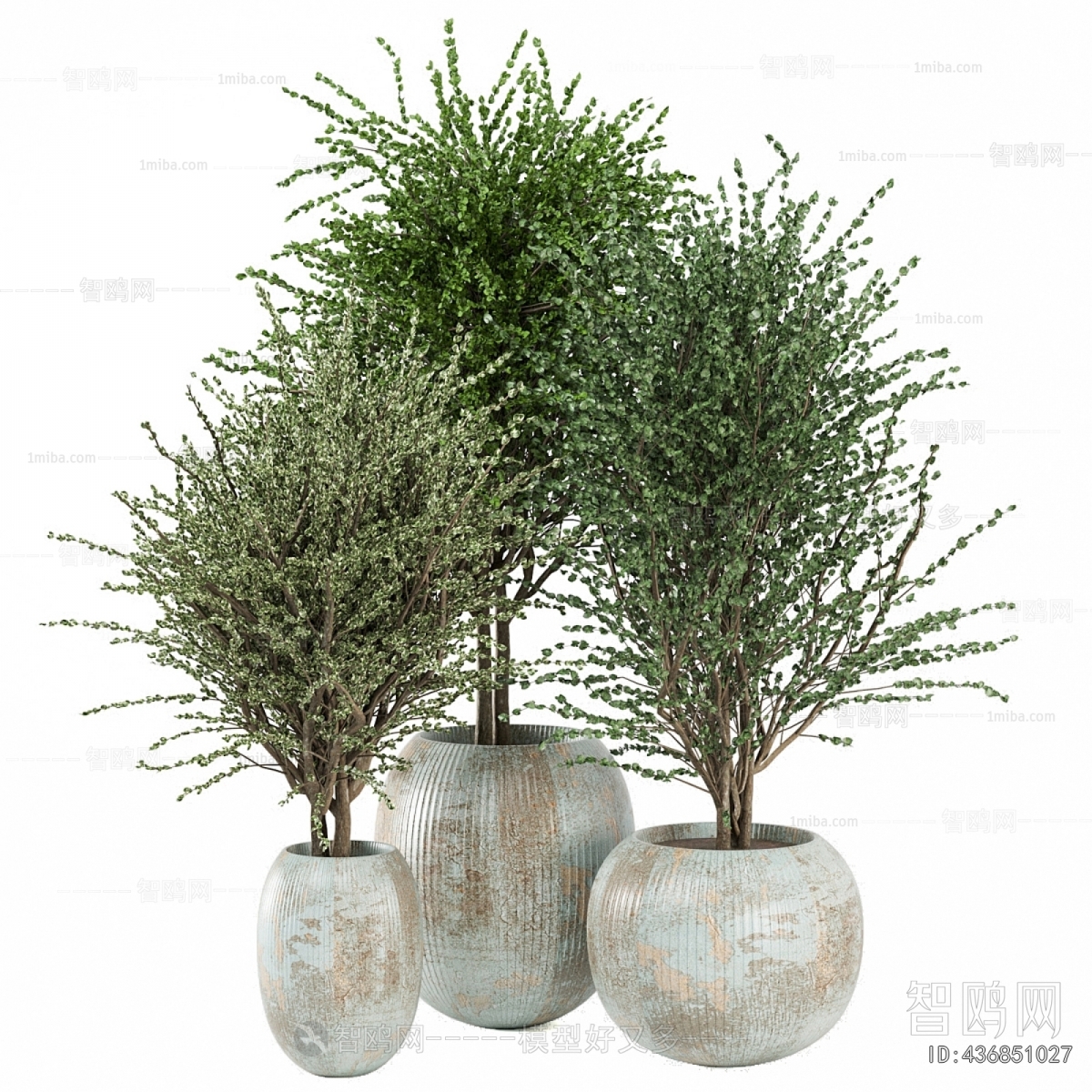 Modern Ground Green Plant Potted Plants