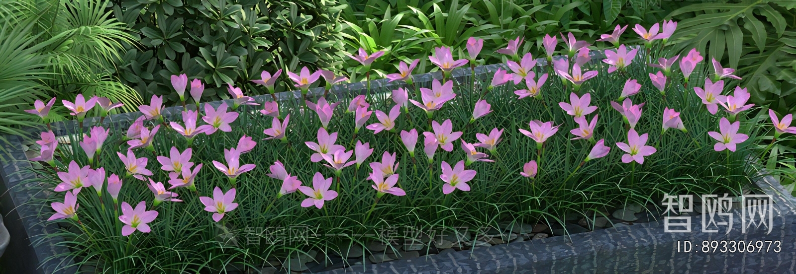 Modern Flowers And Grass