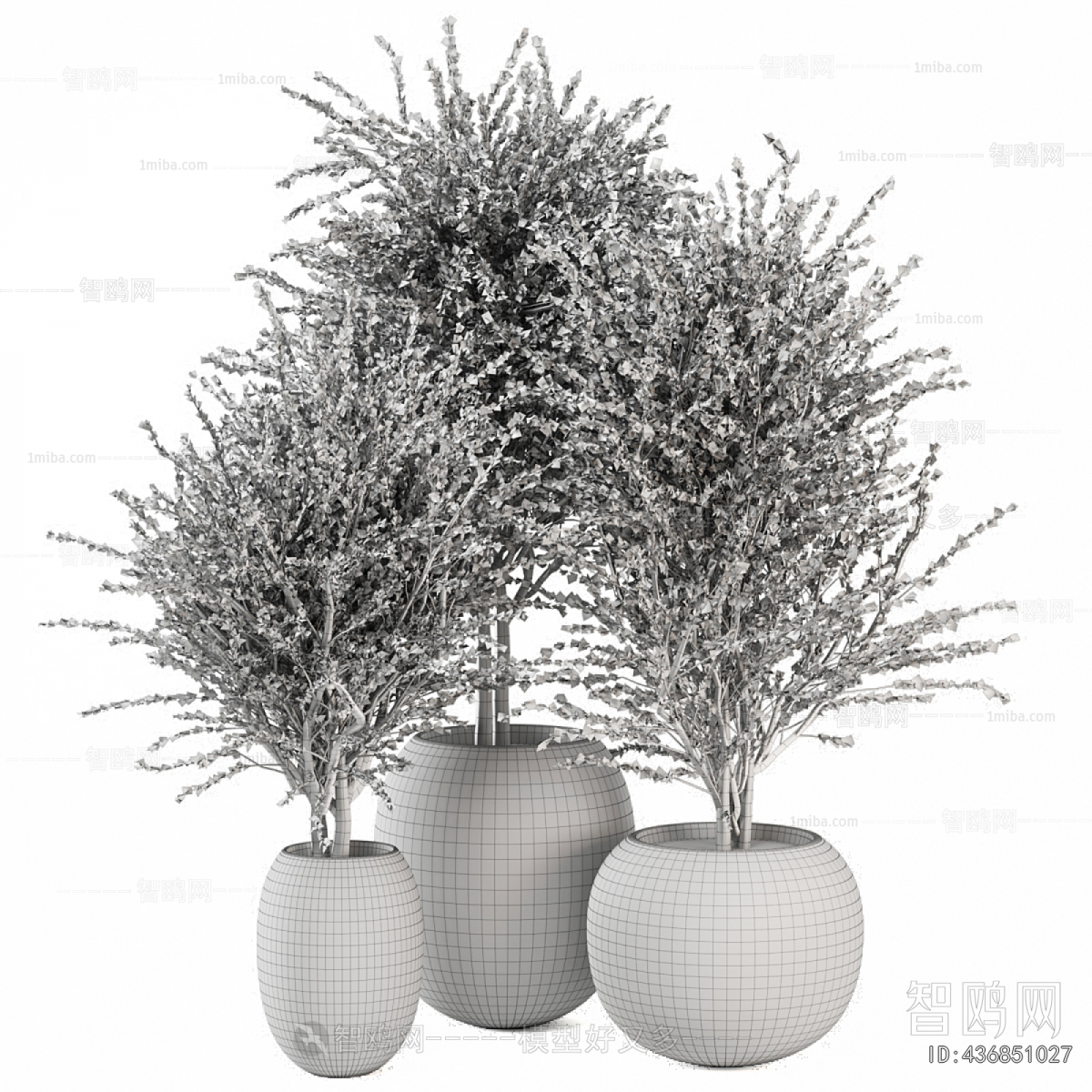 Modern Ground Green Plant Potted Plants