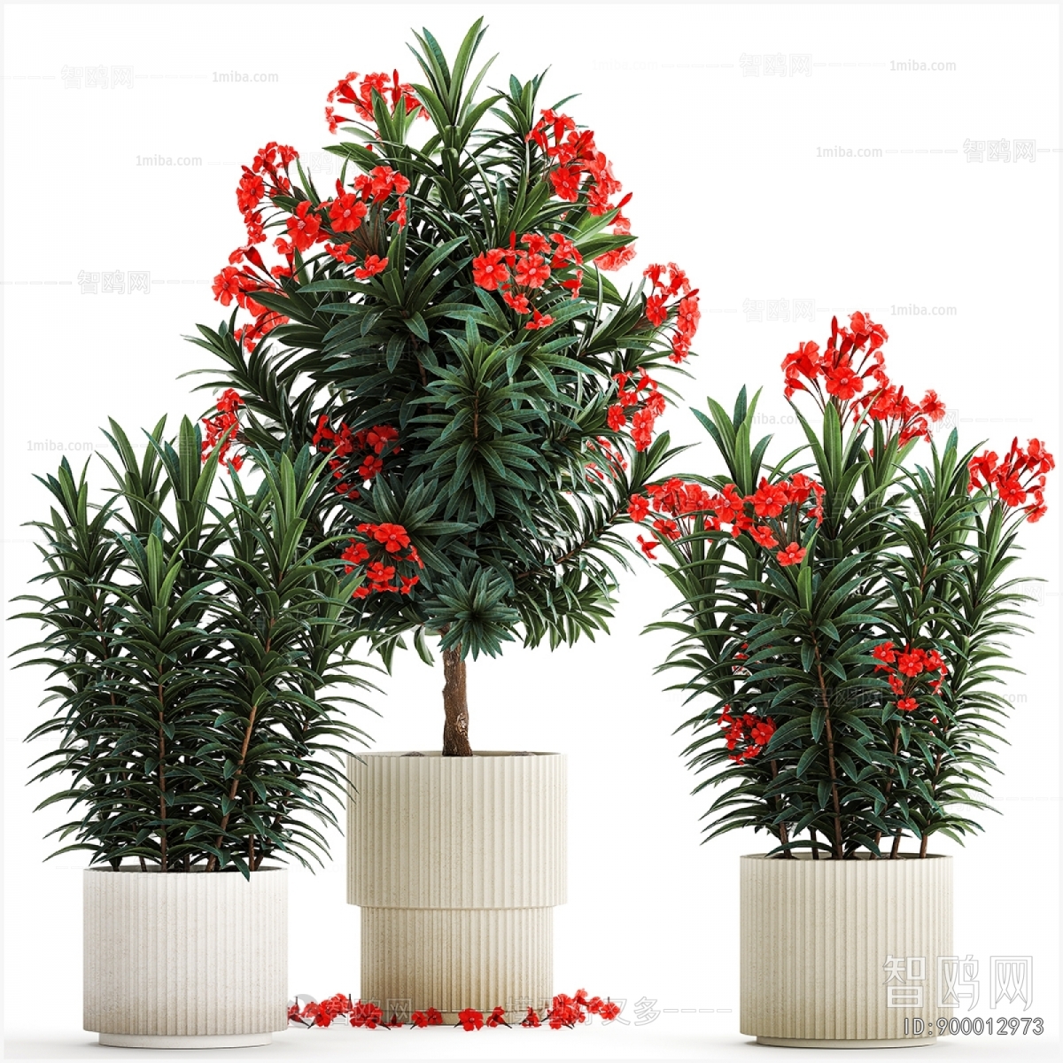 Modern Ground Green Plant Potted Plants