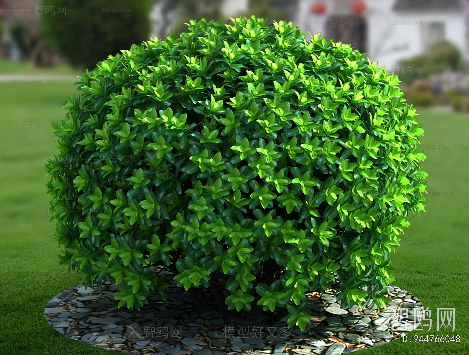Modern Shrubbery