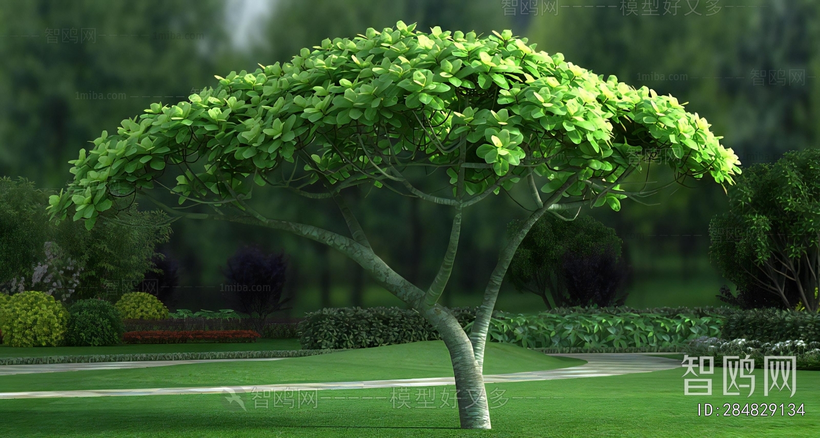Modern Tree