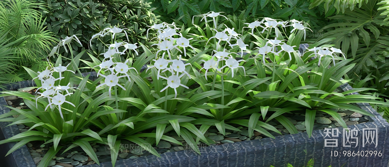 Modern Flowers And Grass