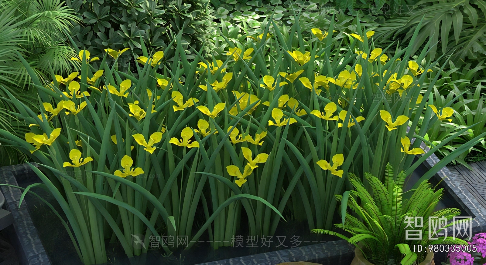 Modern Flowers And Grass