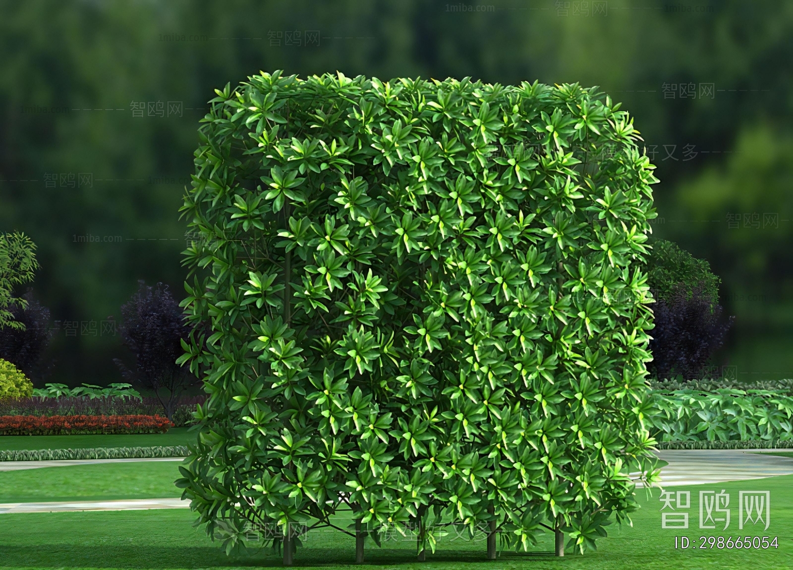Modern Shrubbery