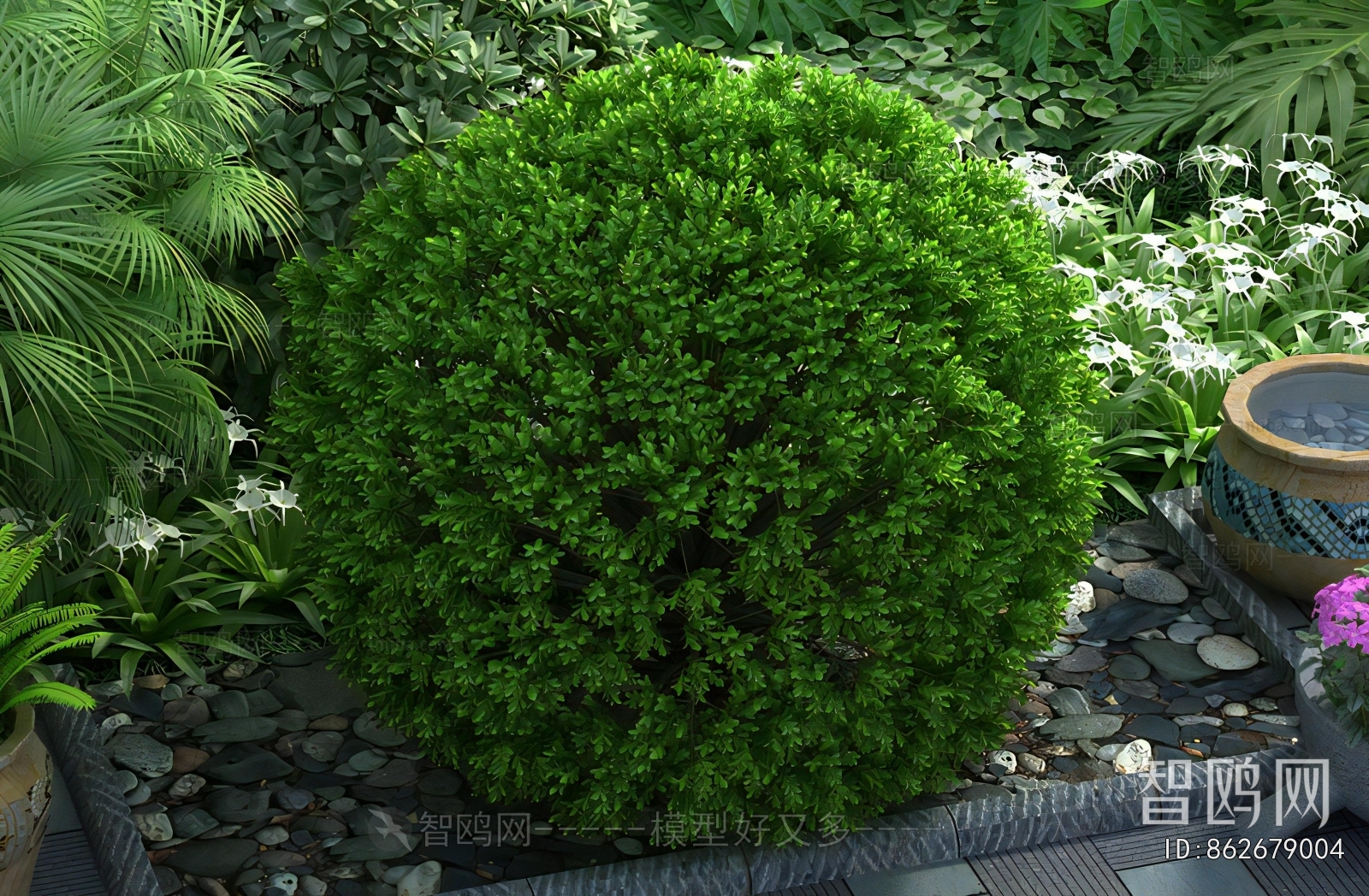 Modern Shrubbery