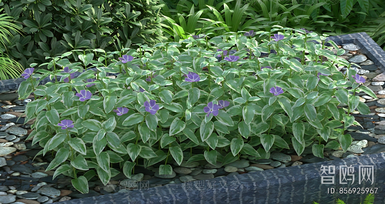 Modern Flowers And Grass