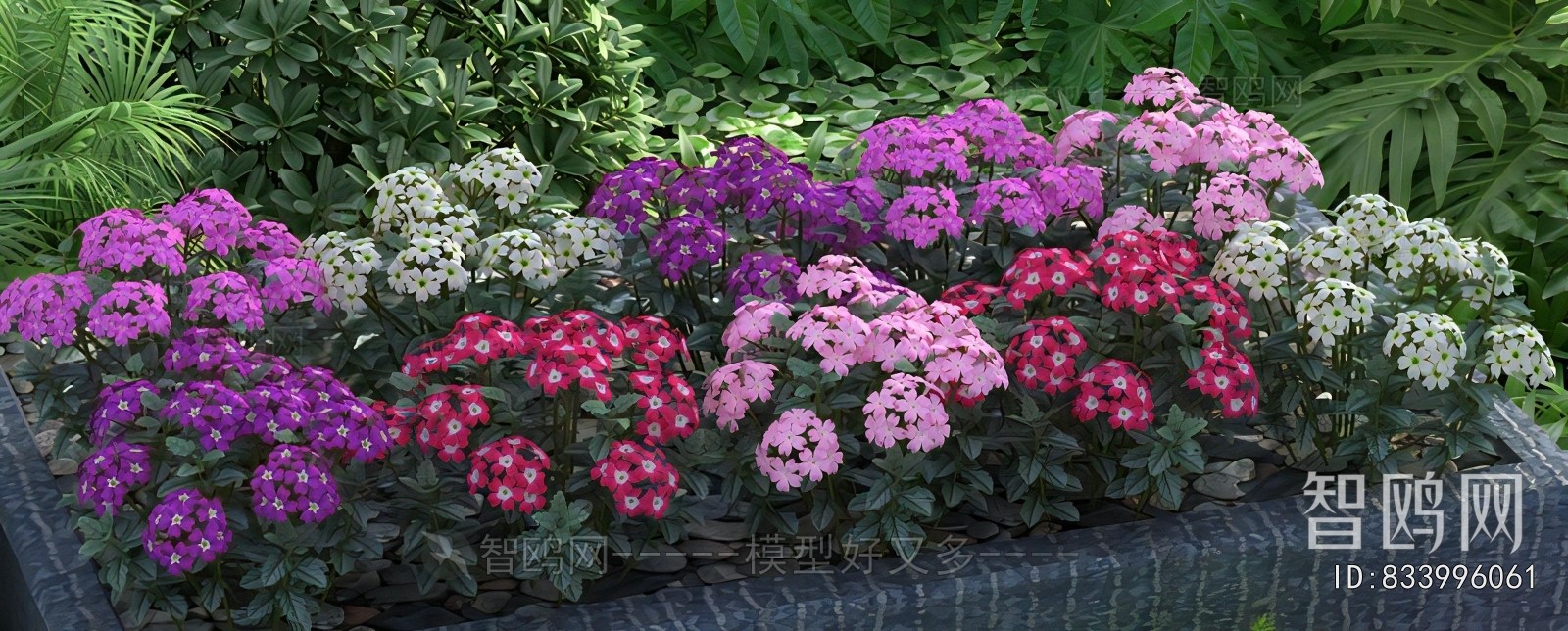 Modern Flowers And Grass