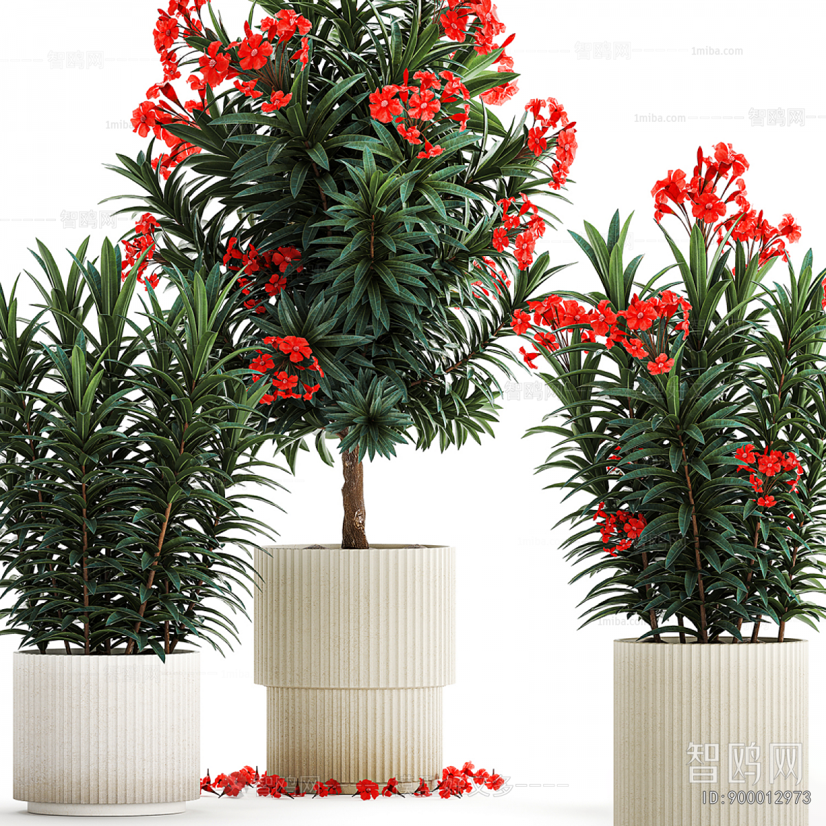 Modern Ground Green Plant Potted Plants