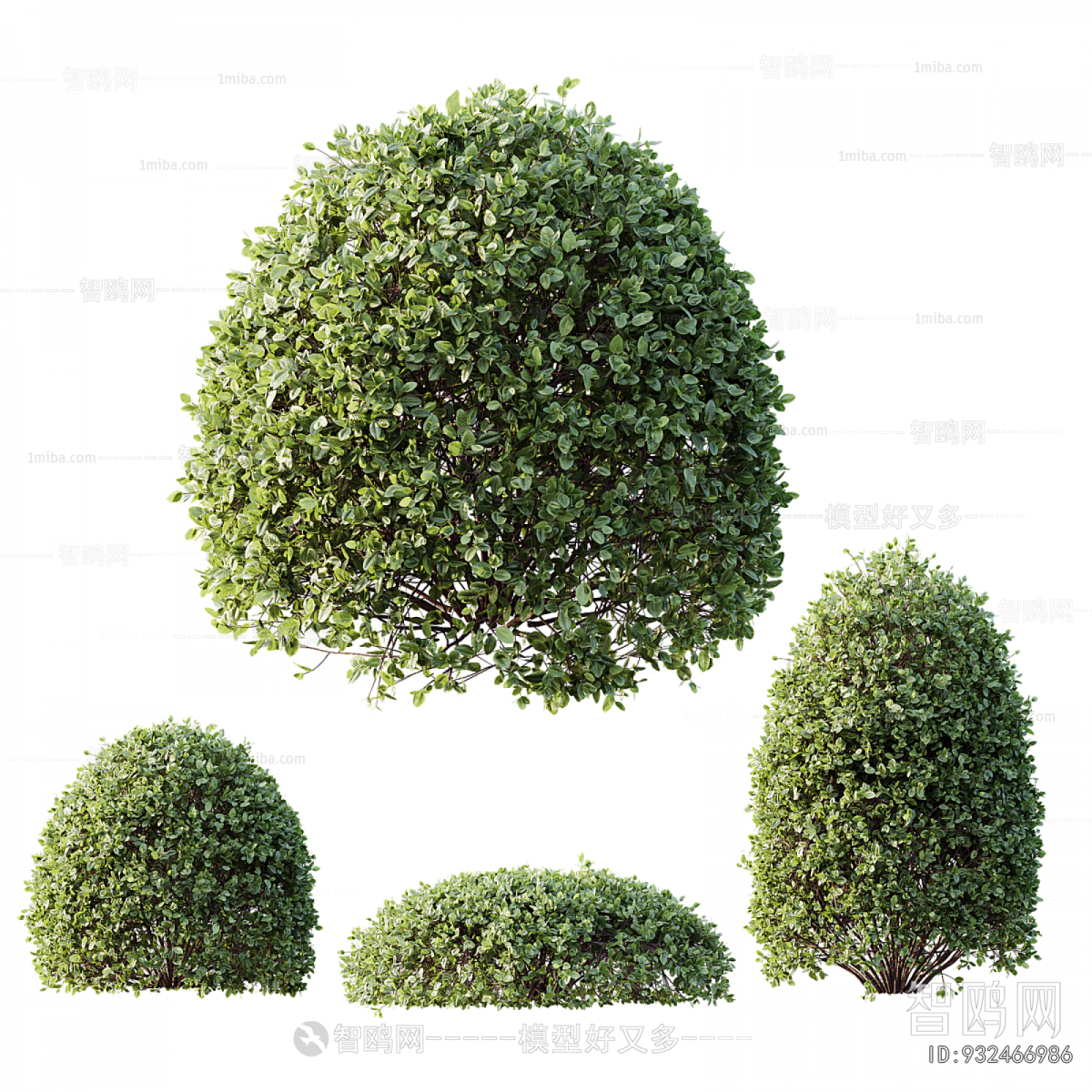 Modern Shrubbery