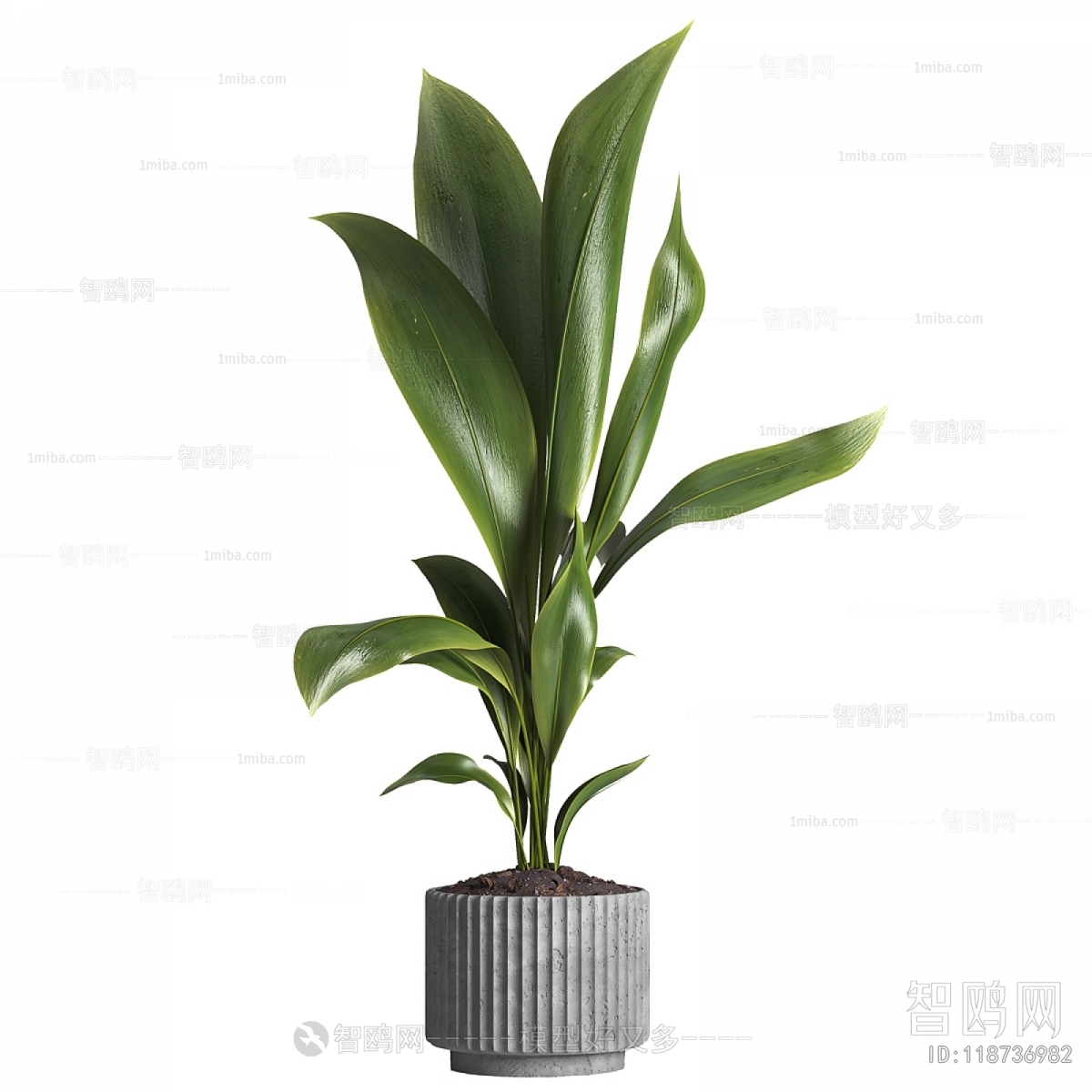 Modern Ground Green Plant Potted Plants