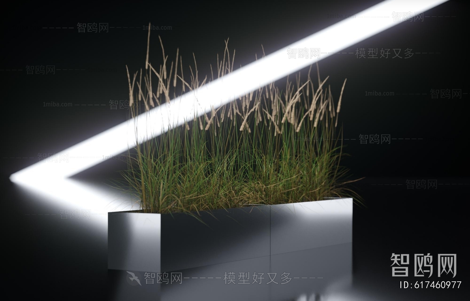 Modern Flower Bed, Flower Bowl, Flower Box