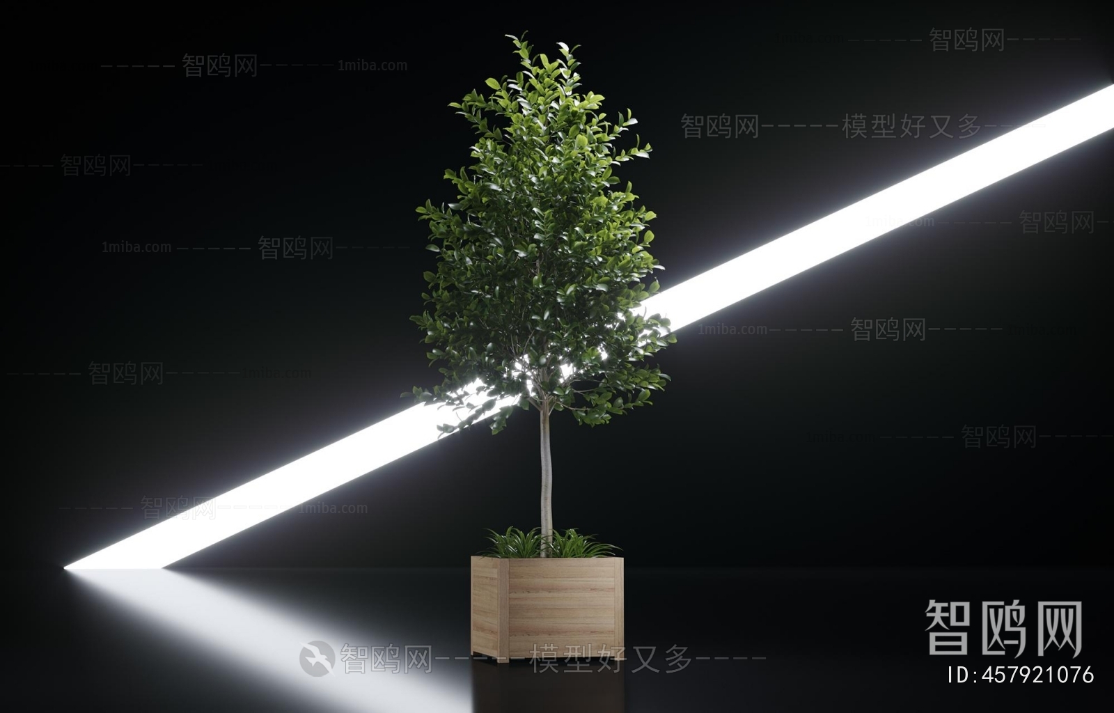 Modern Flower Bed, Flower Bowl, Flower Box