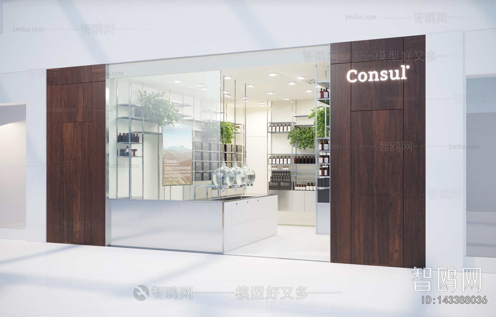 Modern Facade Element