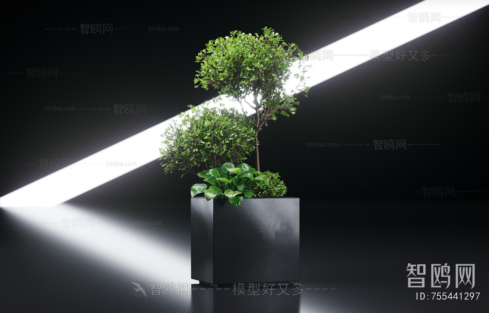 Modern Flower Bed, Flower Bowl, Flower Box