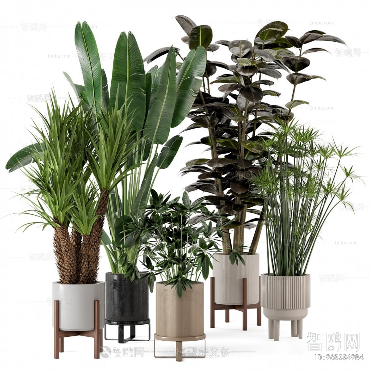 Modern Ground Green Plant Potted Plants