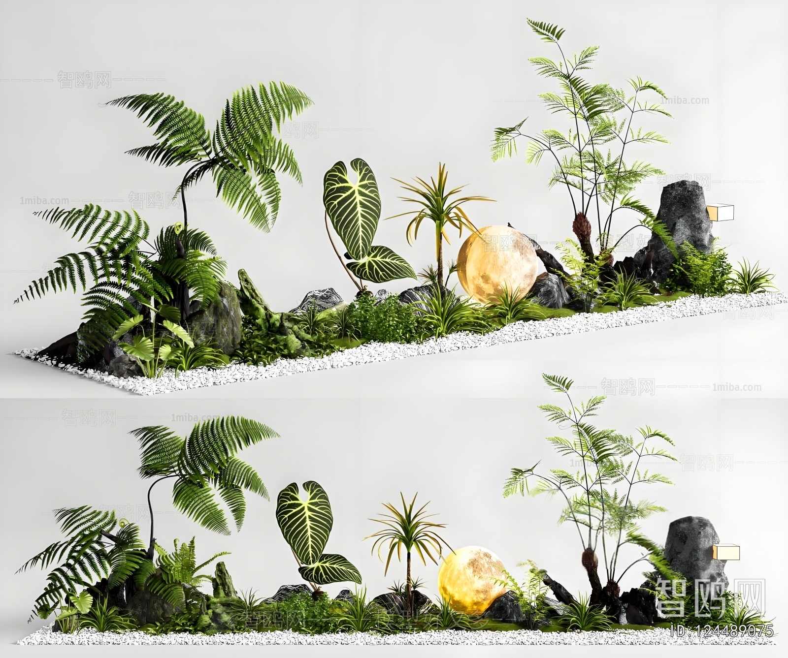 Modern Plant Landscaping