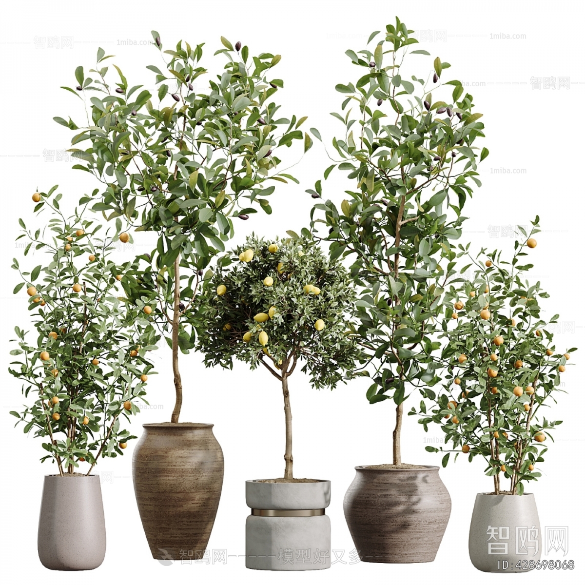 Modern Ground Green Plant Potted Plants