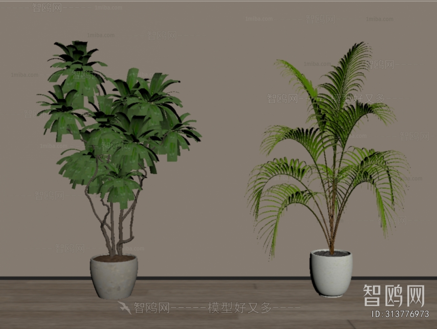 Modern Ground Green Plant Potted Plants