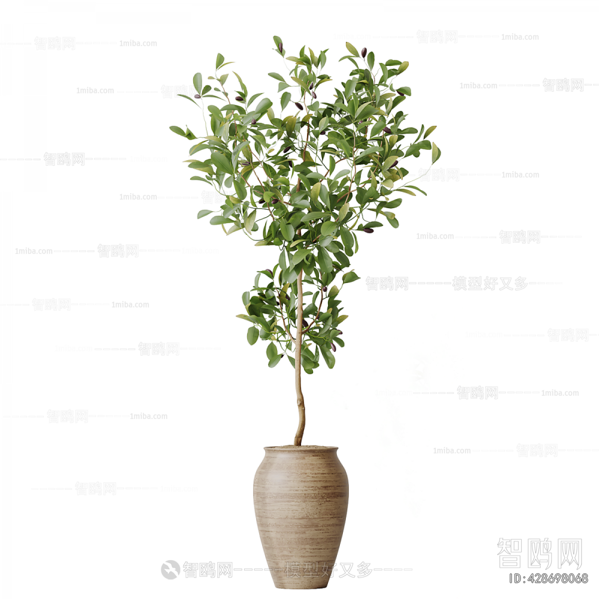 Modern Ground Green Plant Potted Plants