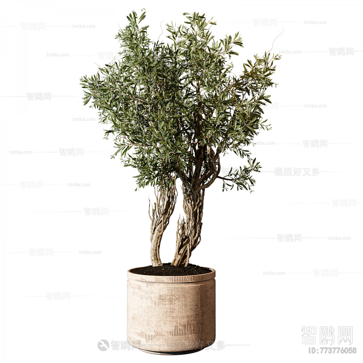 Modern Ground Green Plant Potted Plants