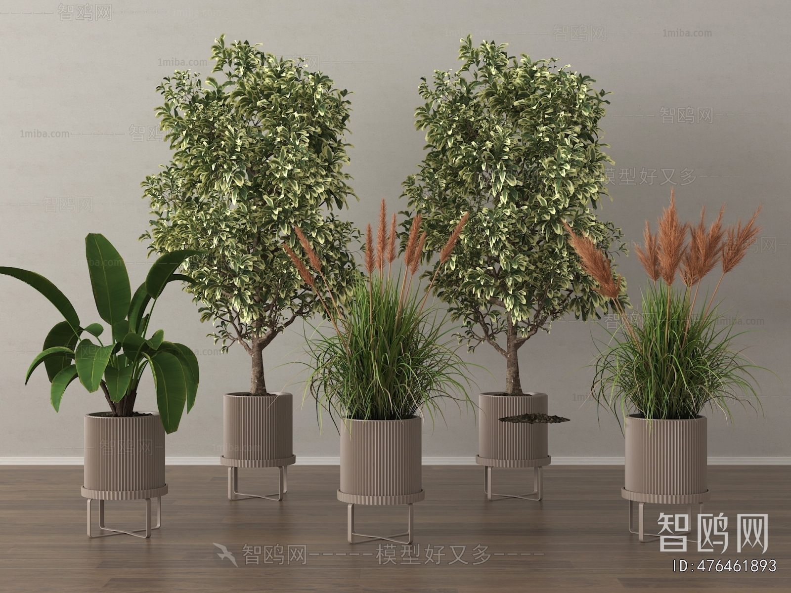 Modern Ground Green Plant Potted Plants