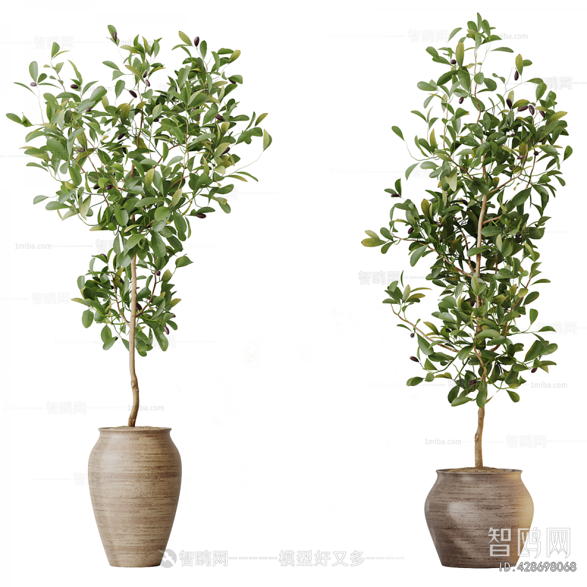 Modern Ground Green Plant Potted Plants