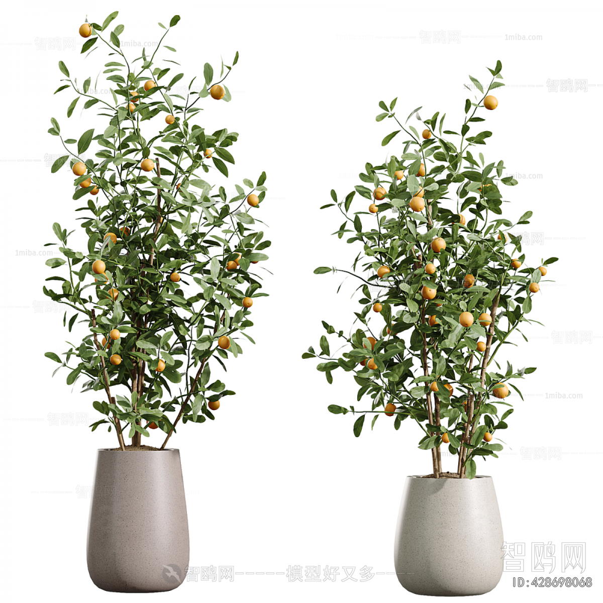 Modern Ground Green Plant Potted Plants