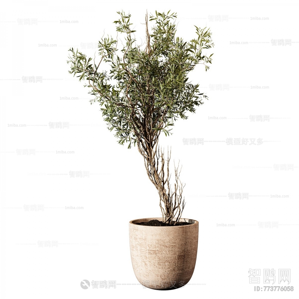 Modern Ground Green Plant Potted Plants