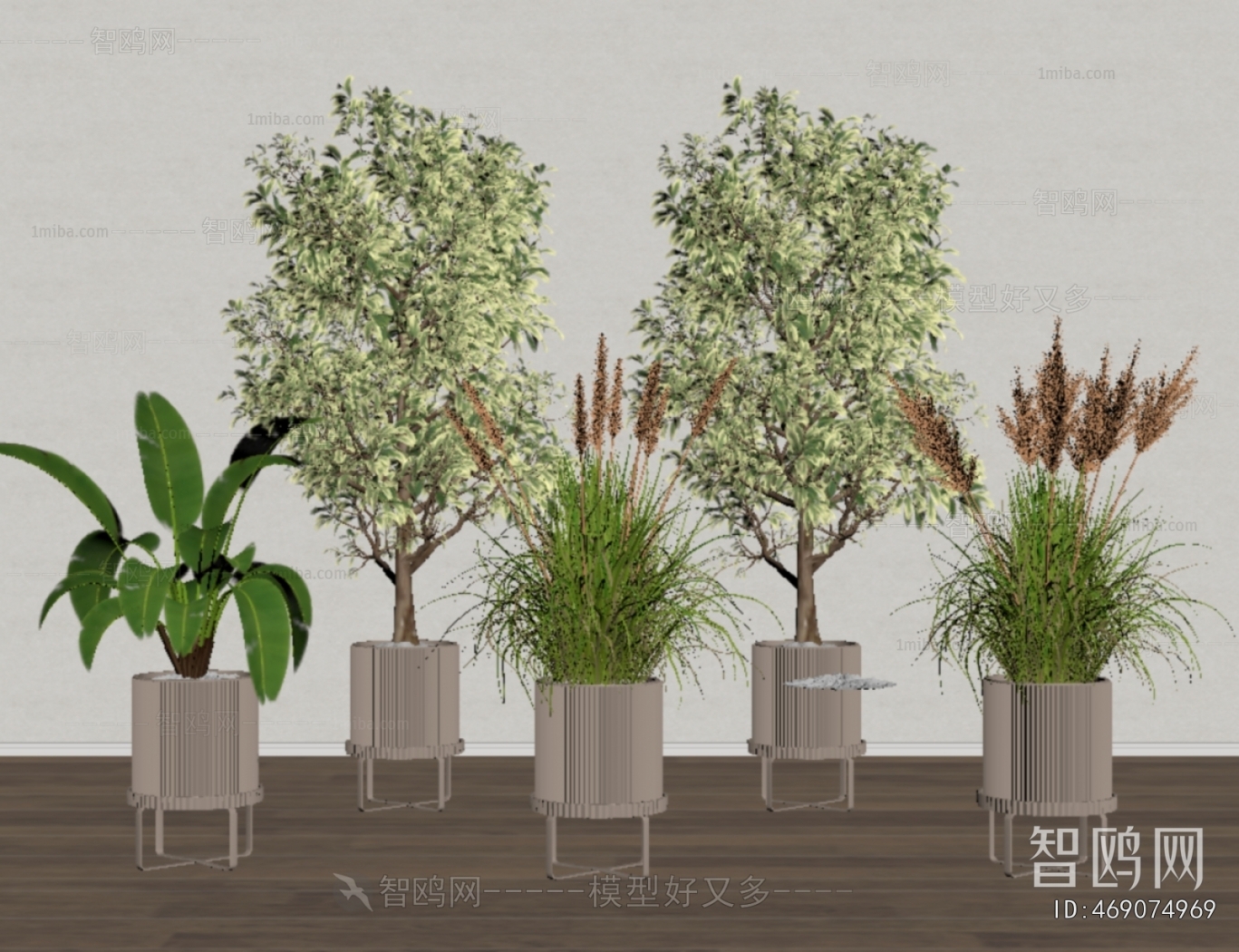 Modern Ground Green Plant Potted Plants