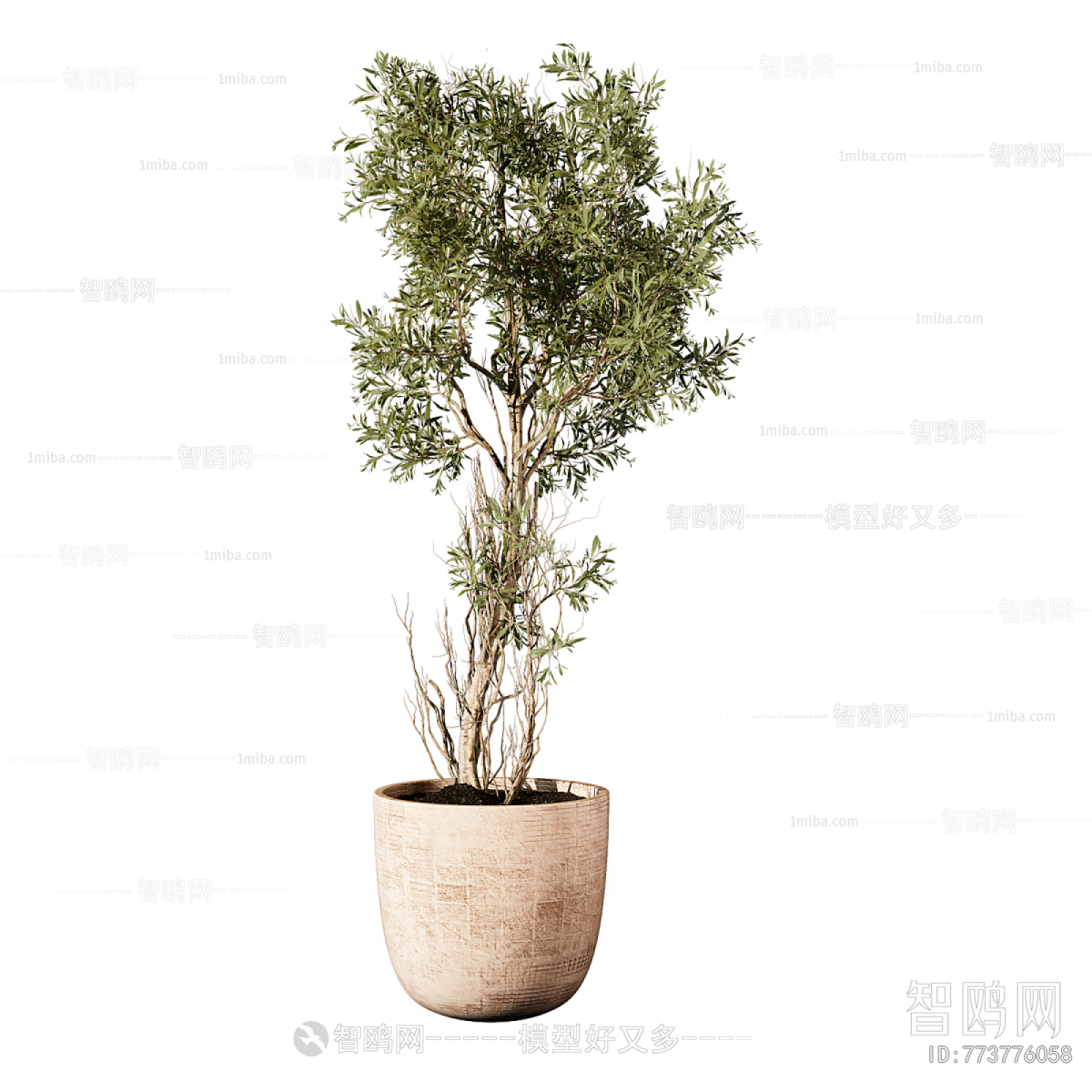 Modern Ground Green Plant Potted Plants