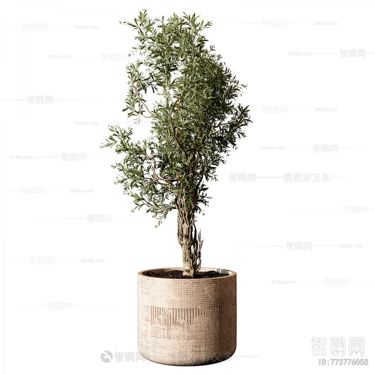 Modern Ground Green Plant Potted Plants