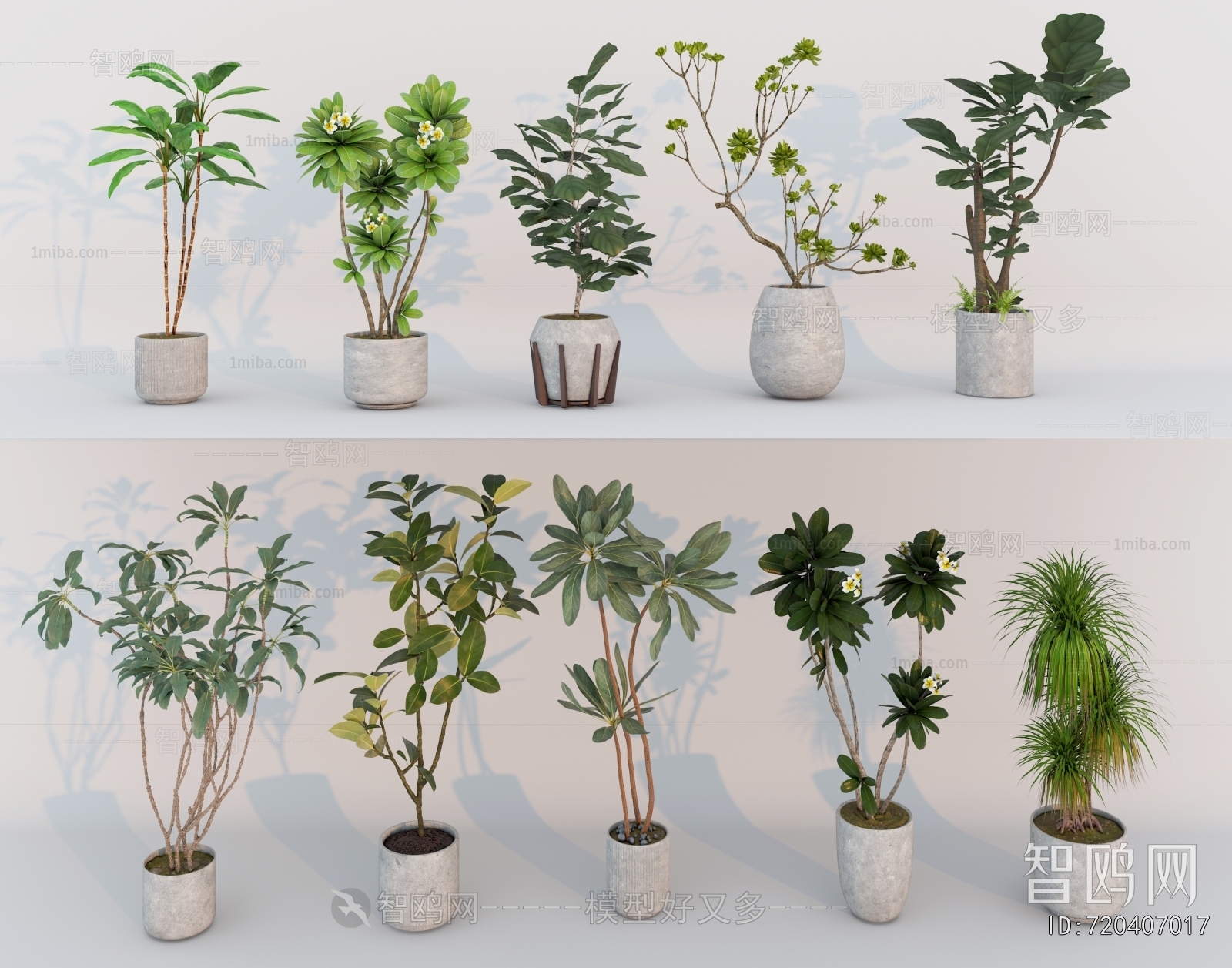 Modern Ground Green Plant Potted Plants