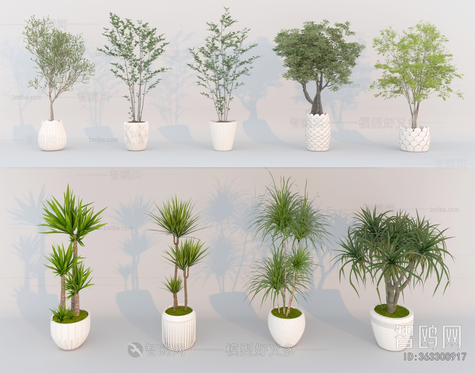 Modern Ground Green Plant Potted Plants