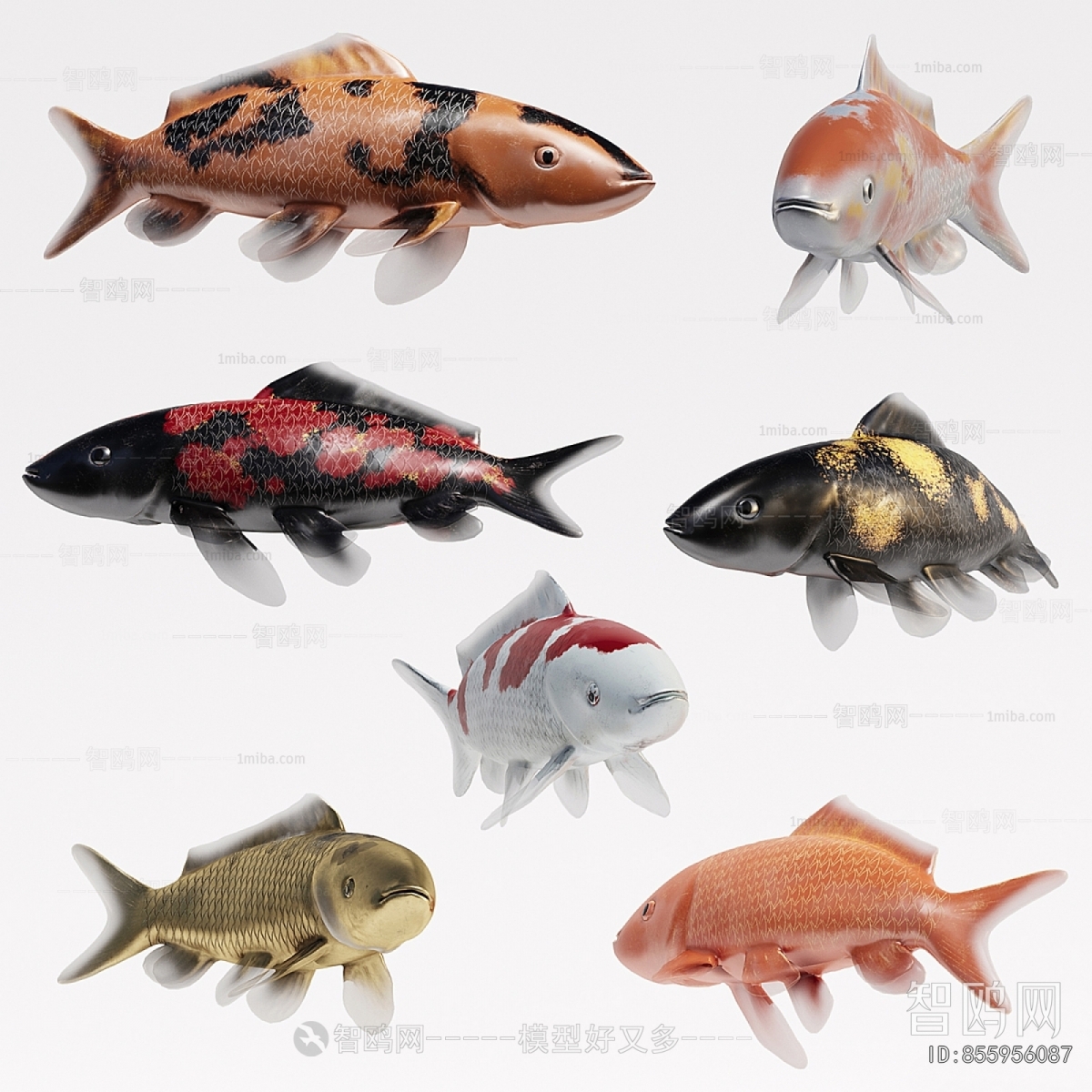 Modern Aquatic Animals