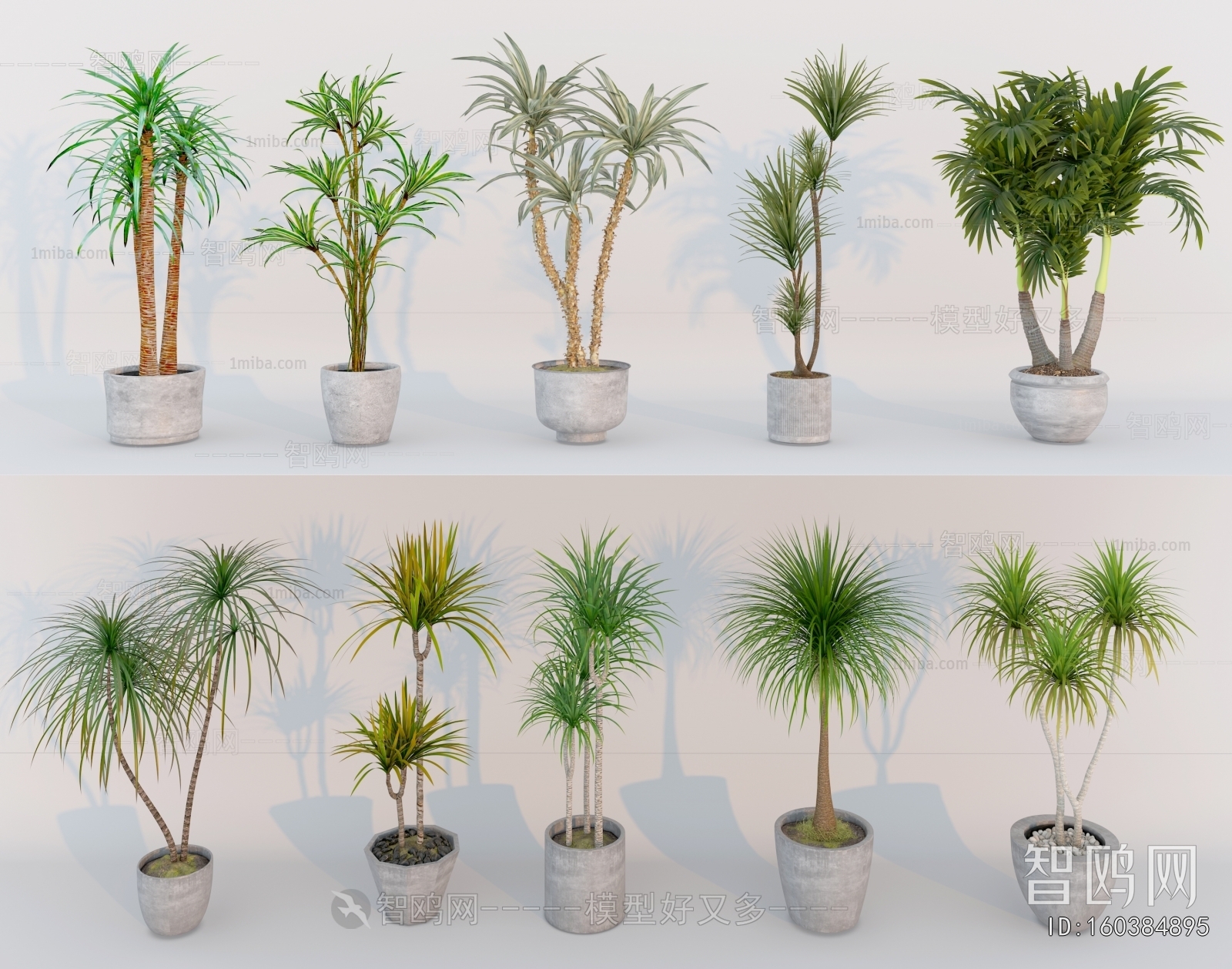 Modern Ground Green Plant Potted Plants