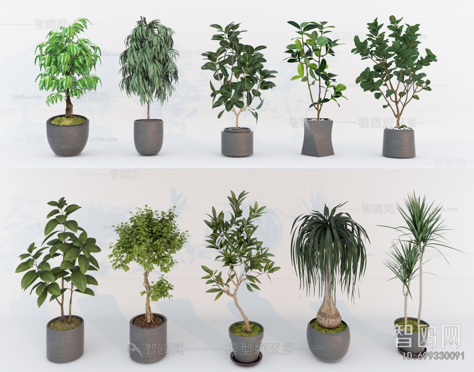 Modern Ground Green Plant Potted Plants