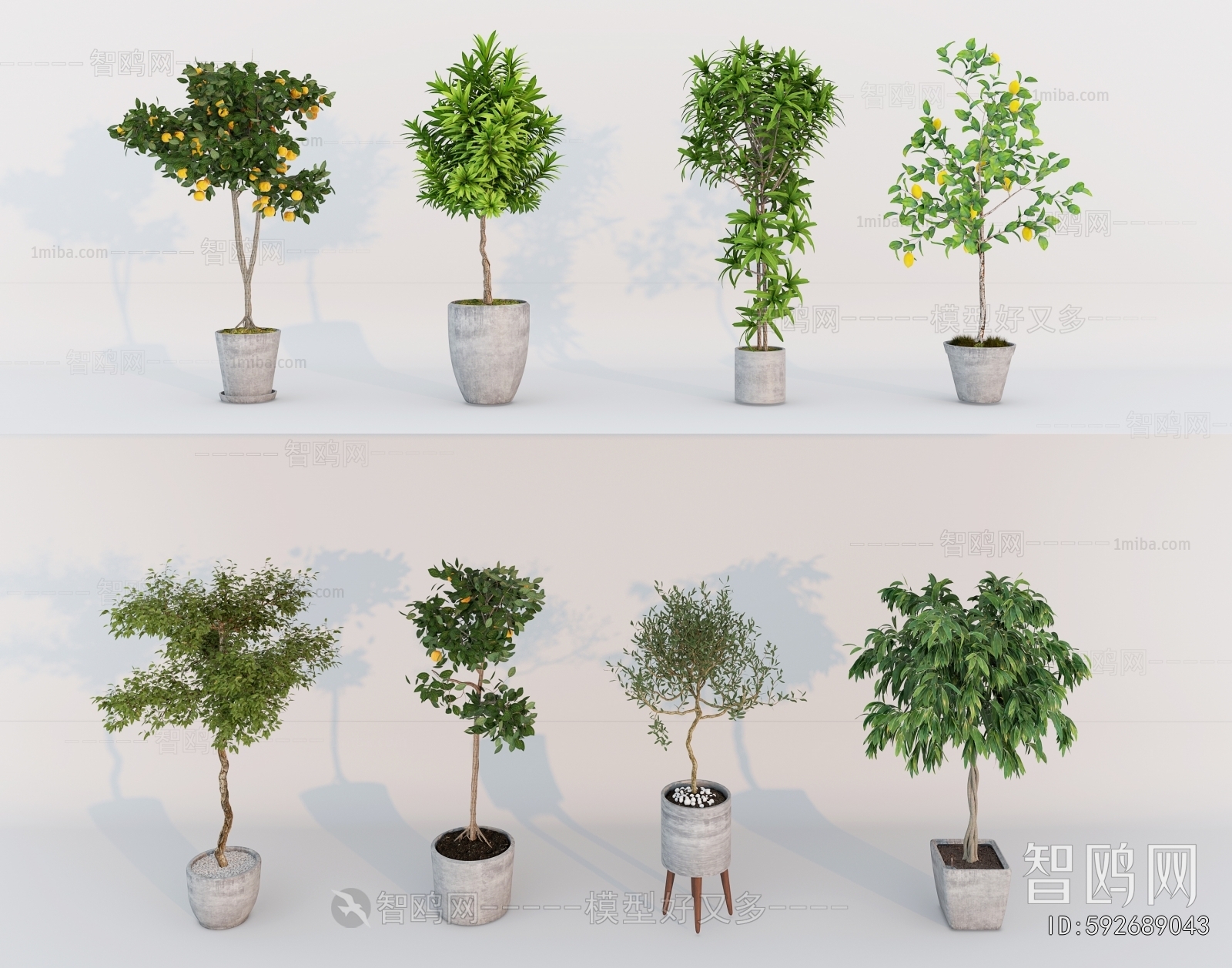 Modern Ground Green Plant Potted Plants