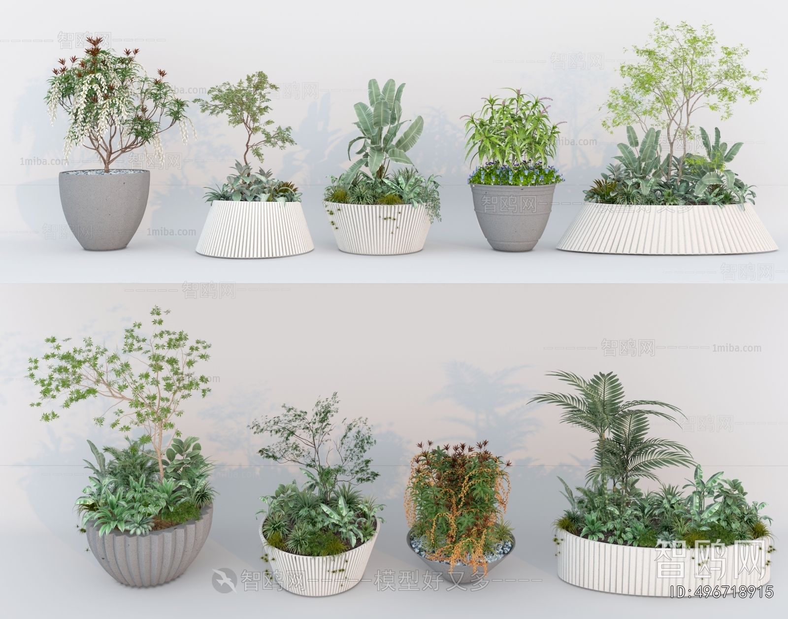 Modern Potted Green Plant