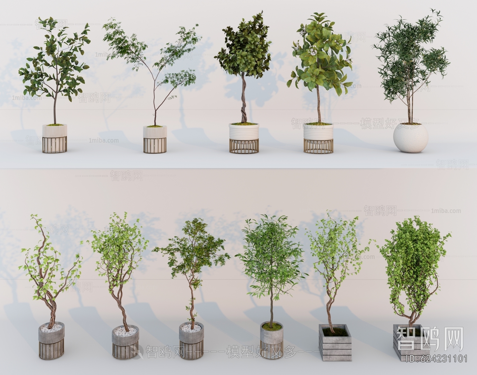 Modern Ground Green Plant Potted Plants