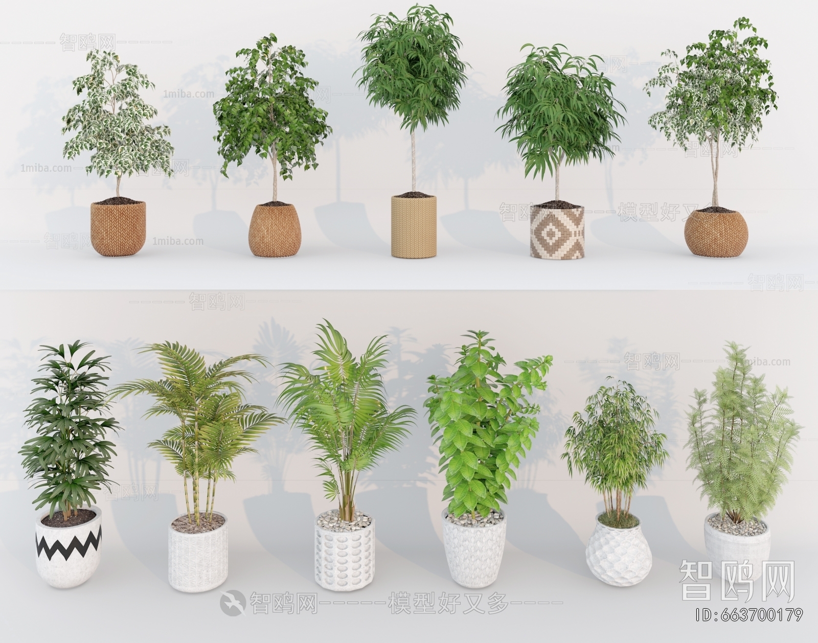 Modern Ground Green Plant Potted Plants