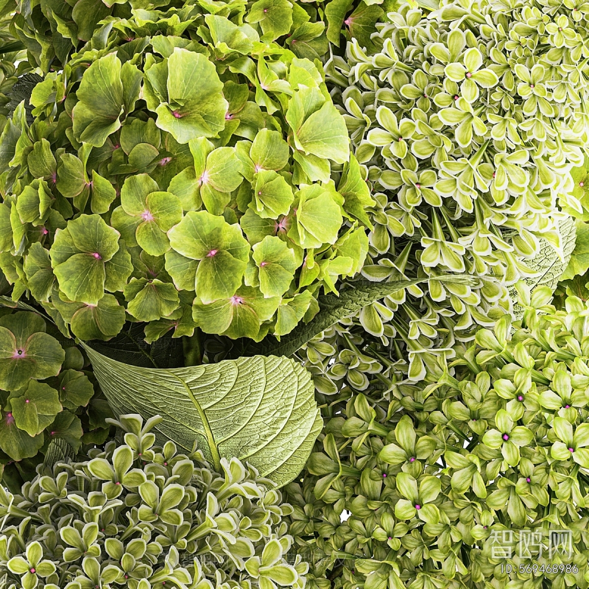 Modern Flower Arrangement