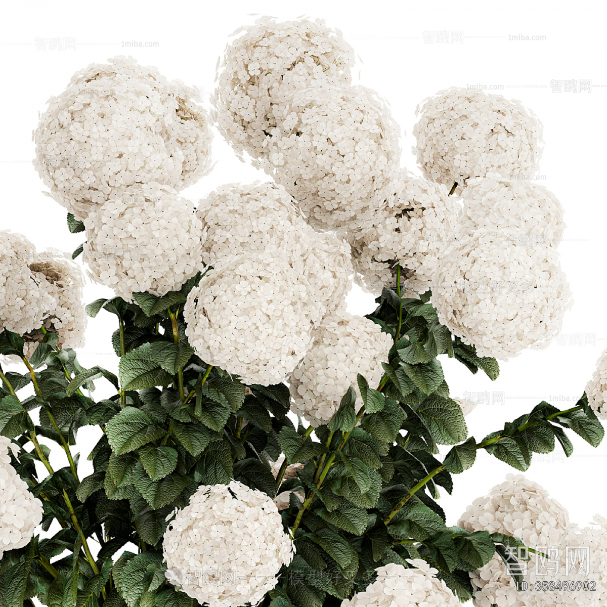 Modern Flower Arrangement