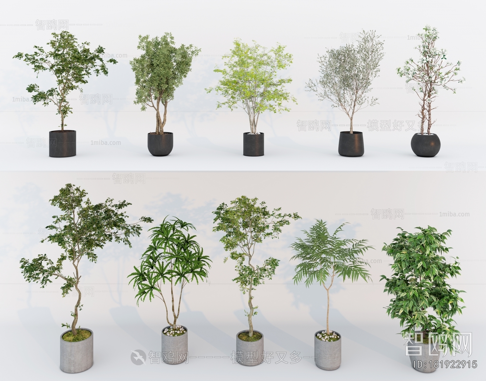 Modern Ground Green Plant Potted Plants