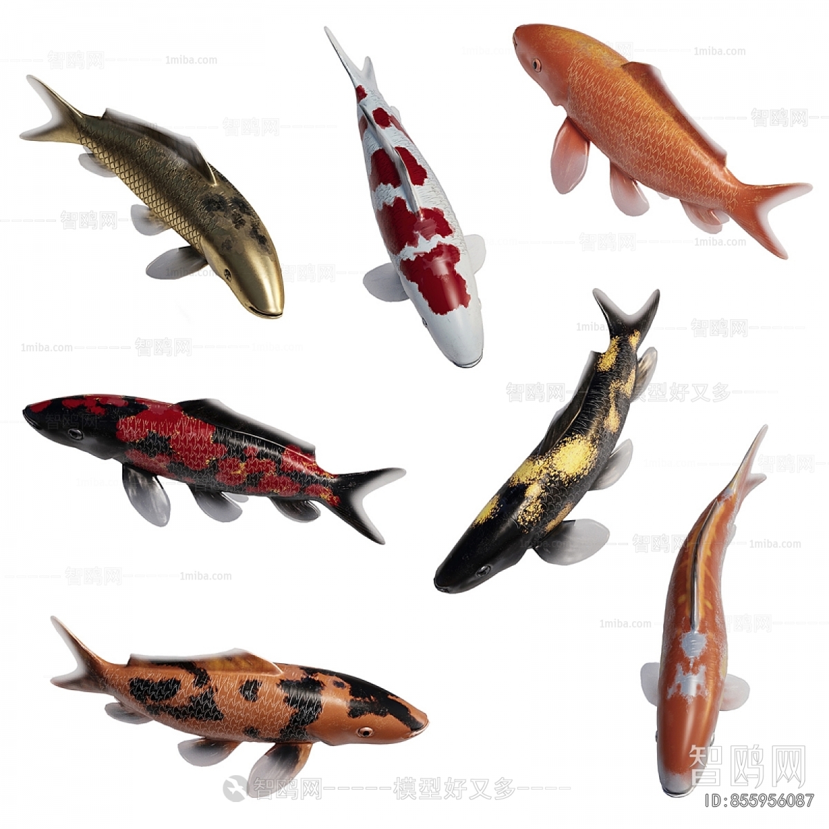 Modern Aquatic Animals